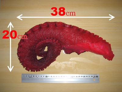 �̿��οݤ�����1.5�ԤΥ������Ǥ���������ľ����6�Ѥ���ޤ���